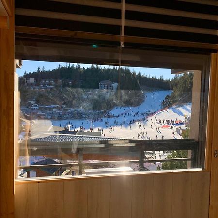 Bolquère Studio Cabine Chaleureux 4 Personnes Pied Des Pistes Pyrenees 2000 מראה חיצוני תמונה